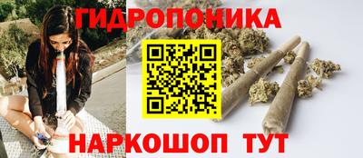 гашик Братск
